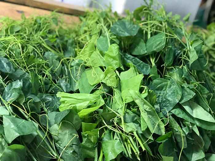 ban rau bo khai tai ha noi