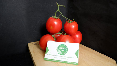 Cà rốt thường - Cà rốt baby - Cà rốt cọng tím