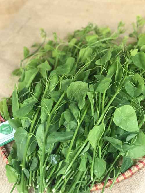 Rau bo khai tuoi non Dung Ha