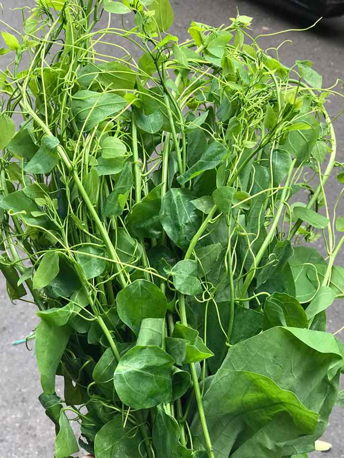 hinh anh ngon rau bo khai tuoi non