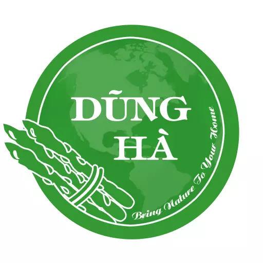 Rau cải xoăn Kale xanh Đà Lạt (Cải Kale xanh)