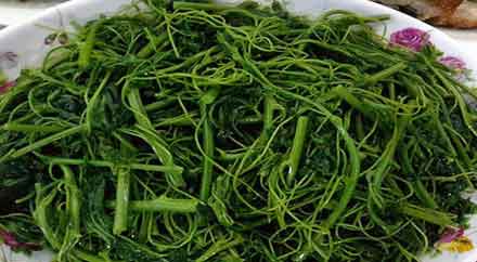 Ấn tượng về tác dụng tuyệt vời của rau bò khai