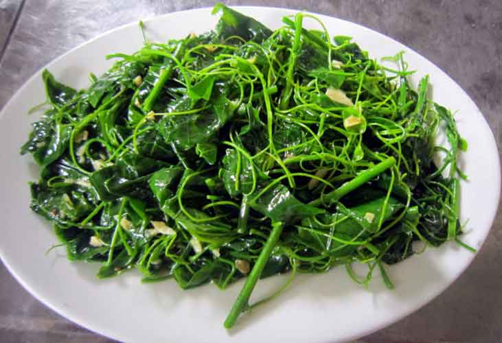 Ấn tượng về tác dụng tuyệt vời của rau bò khai